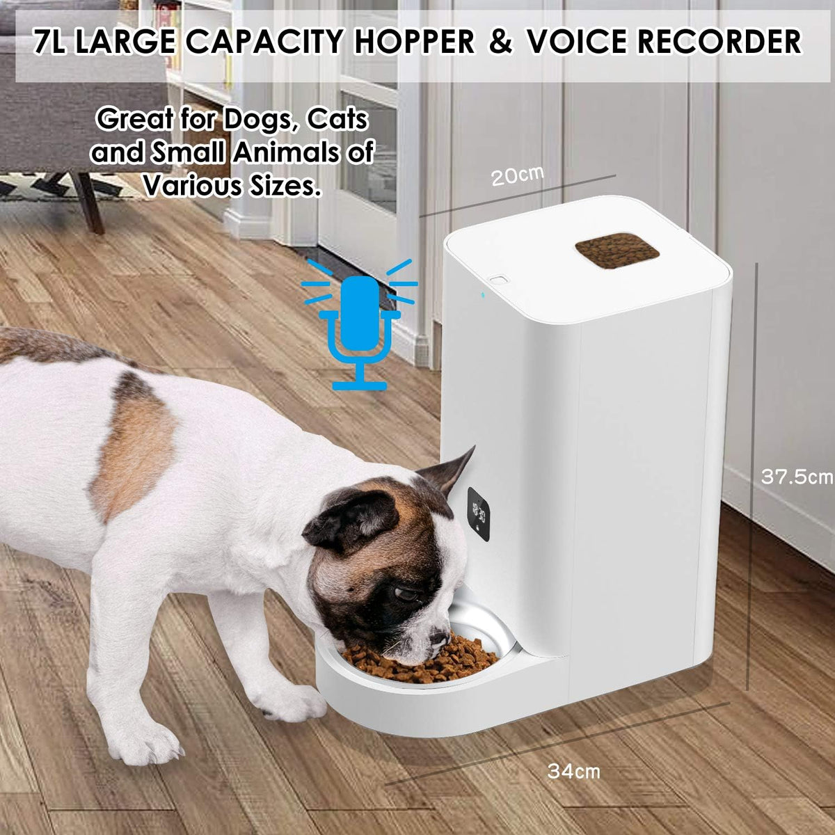 Automatic Cat Feeder with Portion Control, Power Pack of 2 M51595