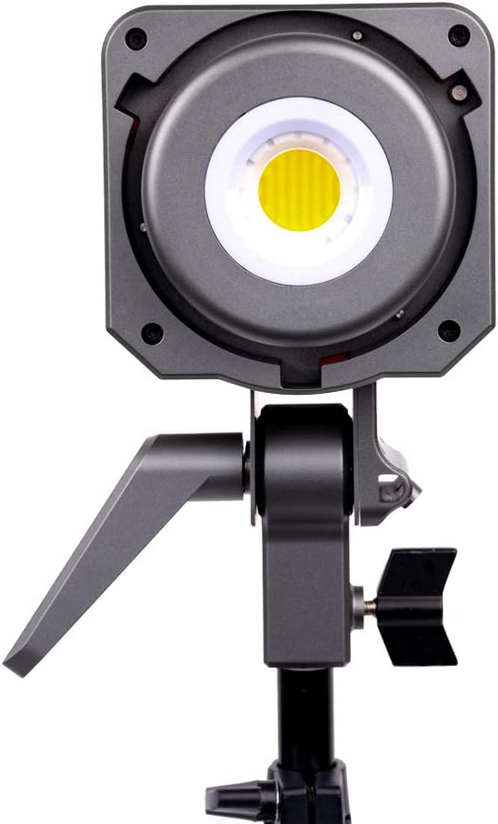 Bi-Color LED Video Light Y231