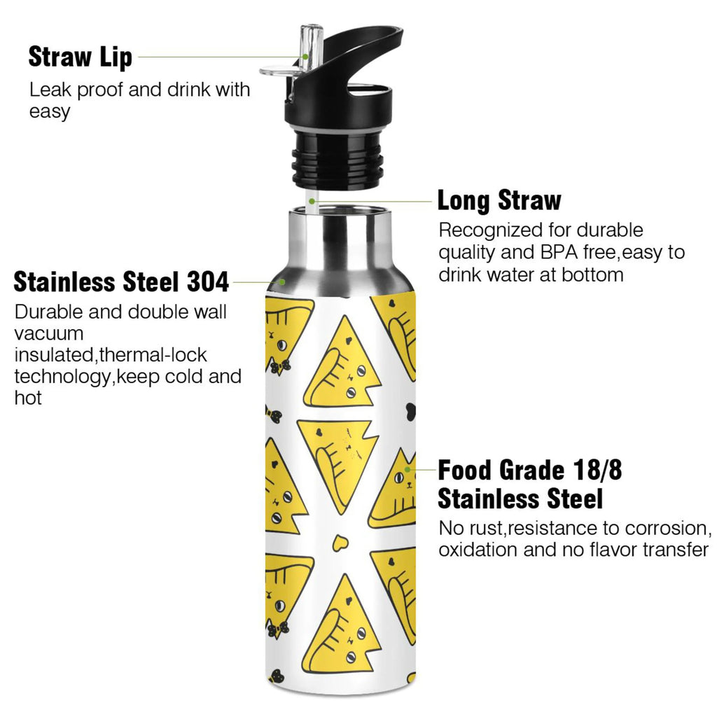 20 OZ Stainless Steel Vacuum Insulated Water Bottle with Straw Lid H786019