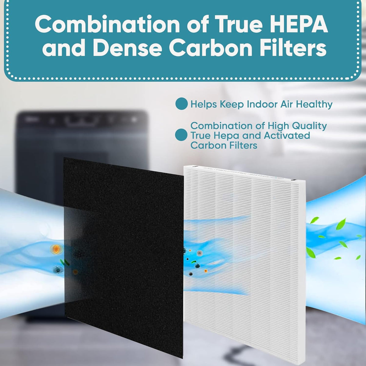 Pack of 2 True HEPA Filter + 8 Activated Carbon Filters I853