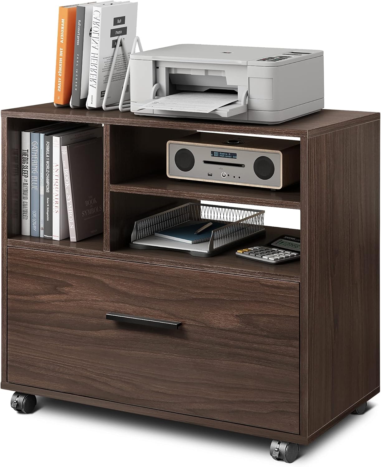Walnut Wood Lateral File Cabinet with 1 Drawer and Storage Door Z191