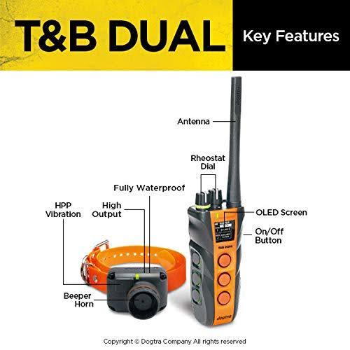 Dual Dog Training and Beeper Collar E31863