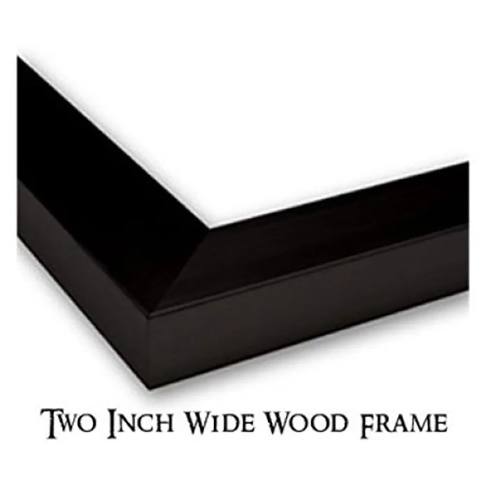Black Modern Framed Museum Art Print H85837