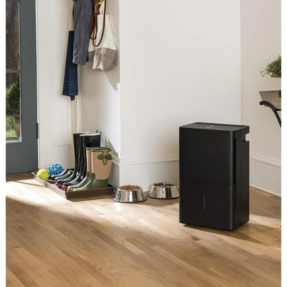 70 pt Black Dehumidifier G533274