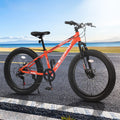 24" Mountain Bike with Shimano 7 Speeds Suspension Steel Frame G2479
