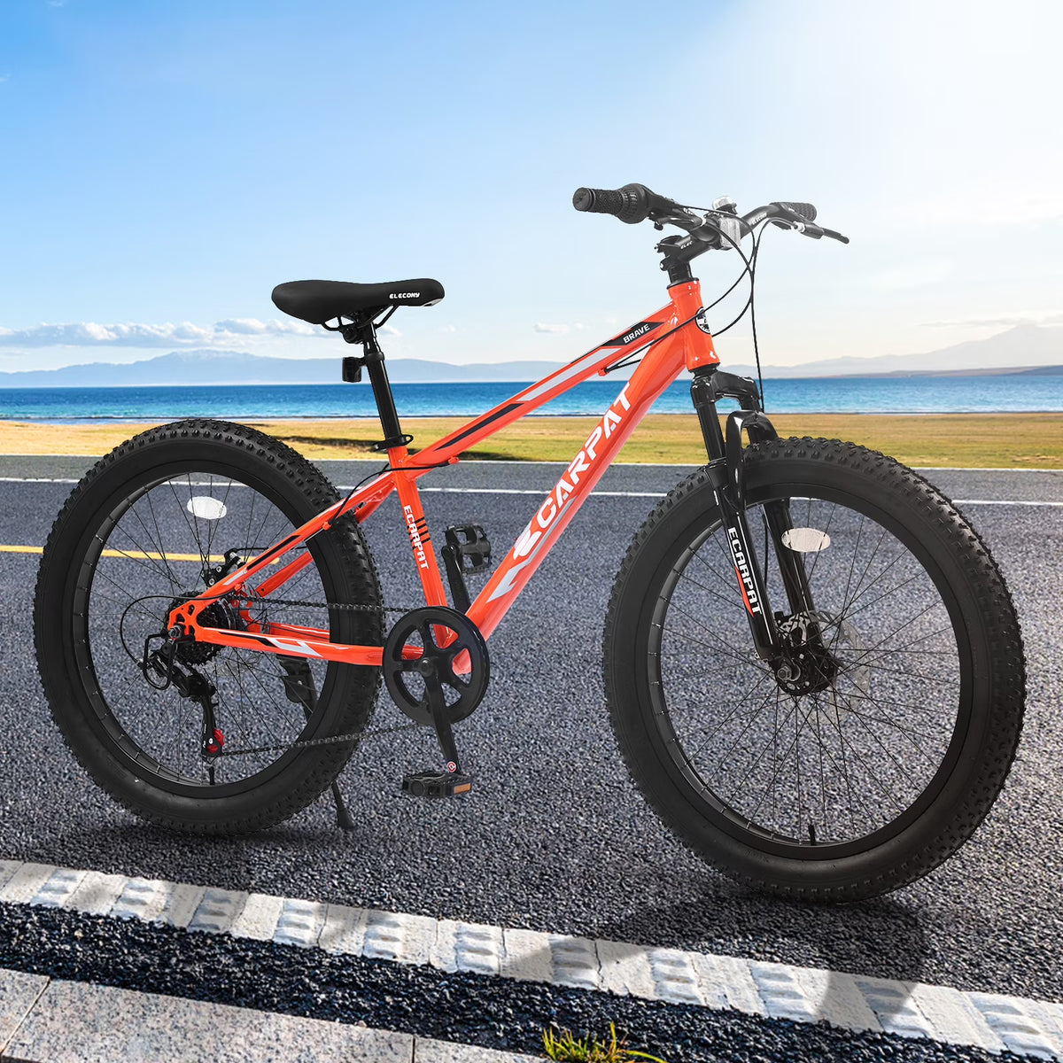 24" Mountain Bike with Shimano 7 Speeds Suspension Steel Frame G2479