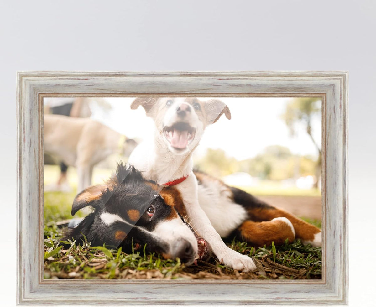 White Real Wood Picture Frame Q979567