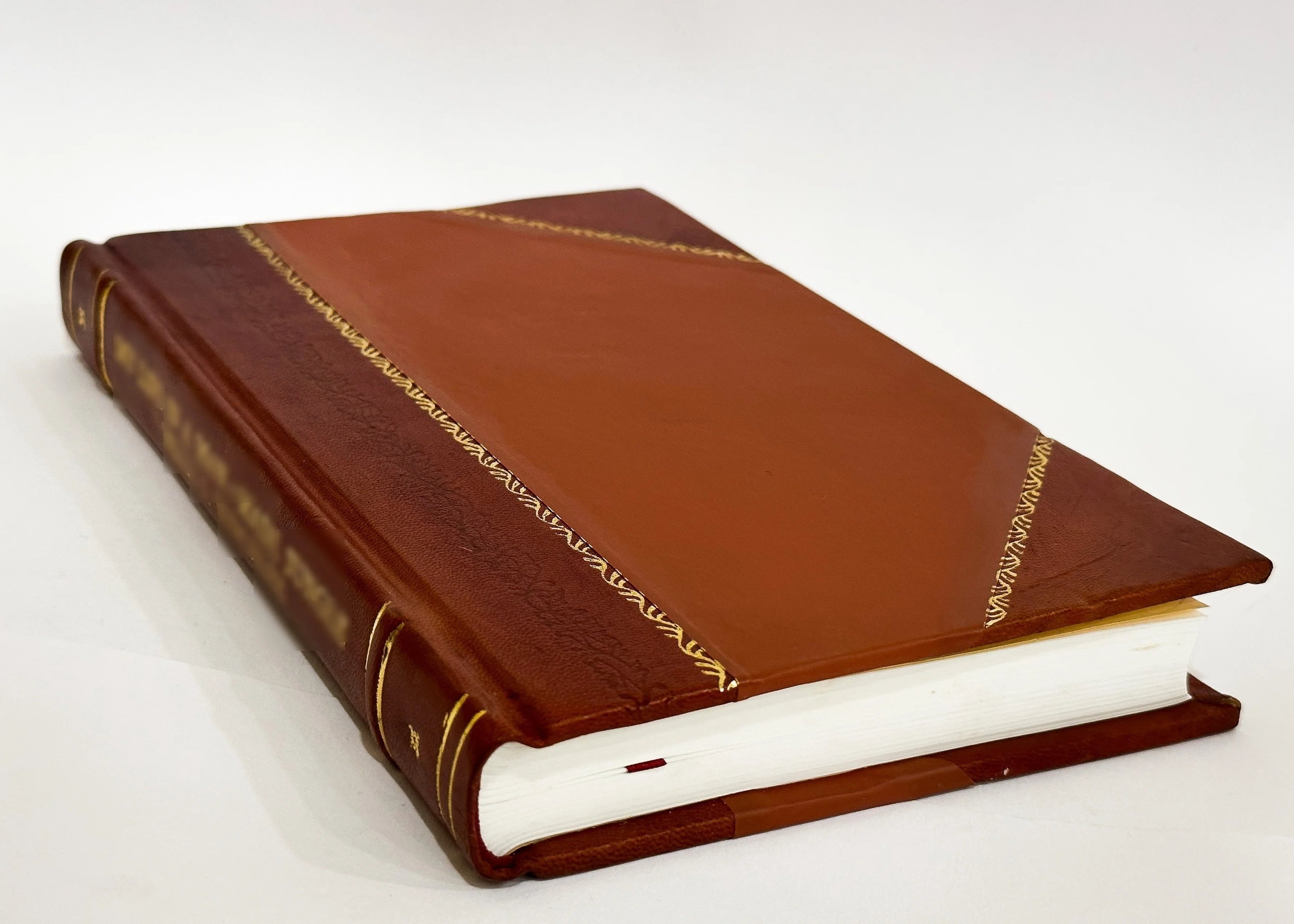 Leather Bound Book X276454