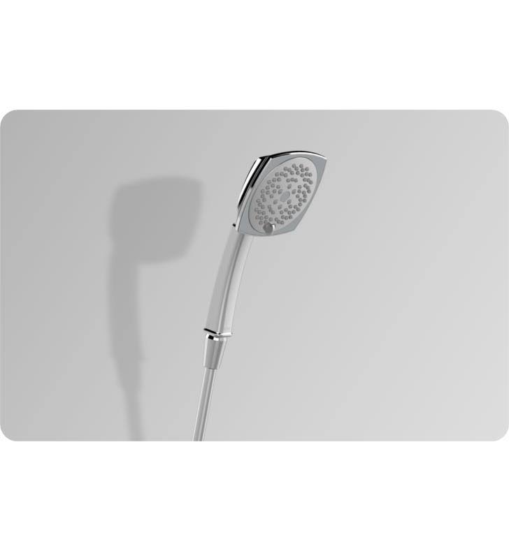 Polished Nickel Handshower Q160