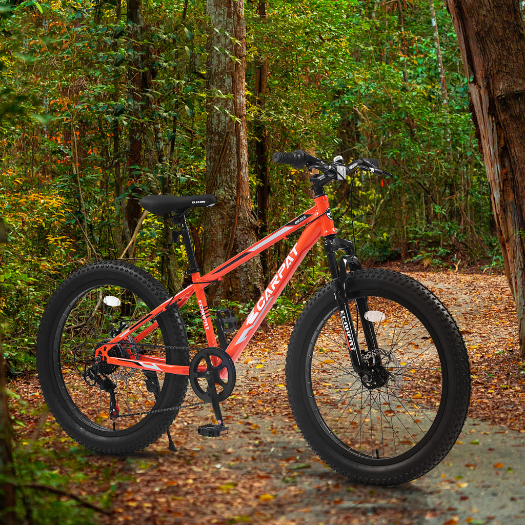 24" Mountain Bike with Shimano 7 Speeds Suspension Steel Frame G2479