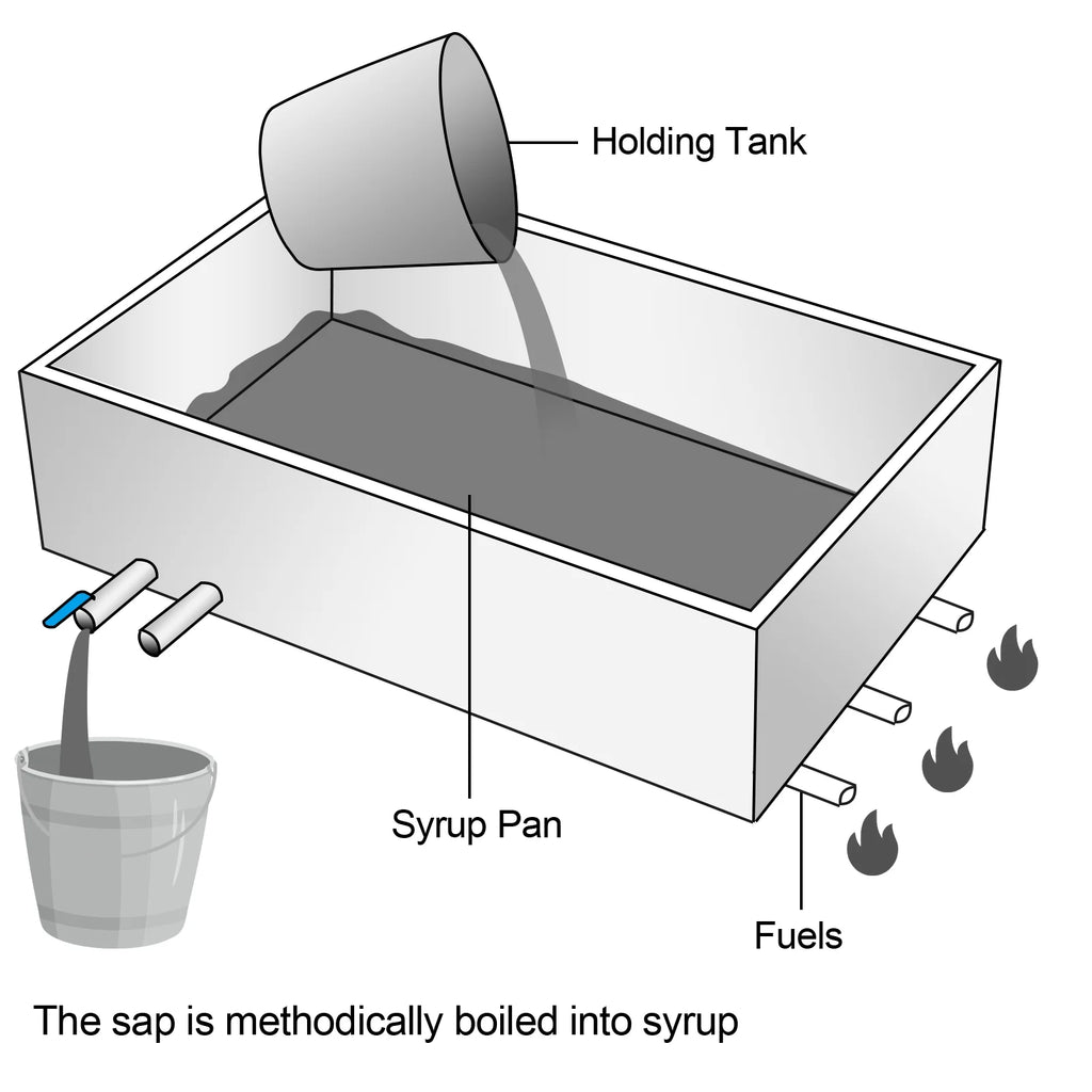 Maple Syrup Evaporator Pan 30x16x9.5 Inch Stainless Steel with Valve P5765