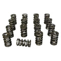 Dual Valve Springs M162