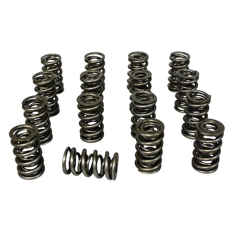 Dual Valve Springs M162
