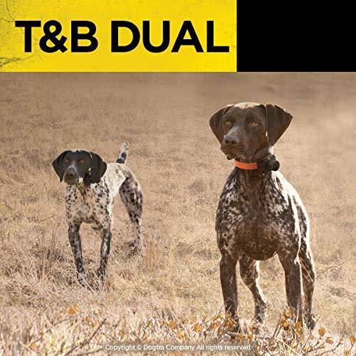 Dual Dog Training and Beeper Collar E31863