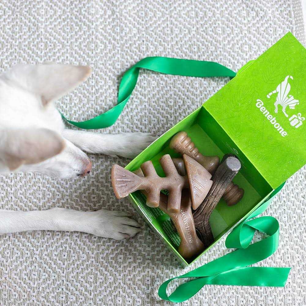 Holiday 4 Pack Dog Chew Toy V631