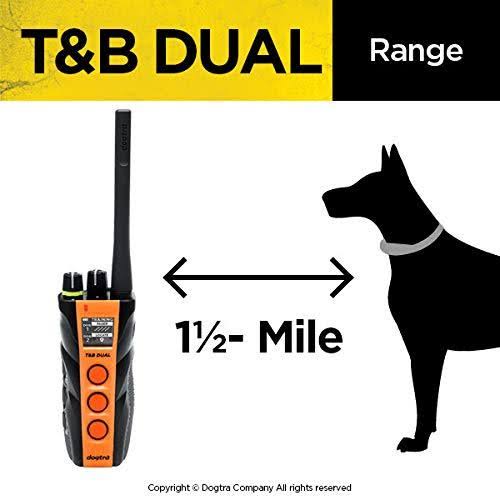 Dual Dog Training and Beeper Collar E31863