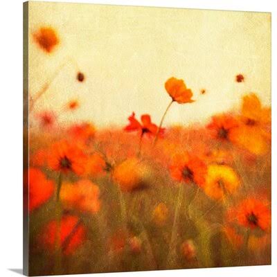 Photographic Print Canvas 35x22 M394718