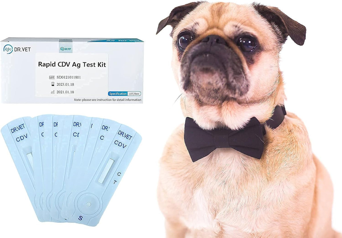 10-Packed Canine Distemper CDV Diagnostic Testing Kit O169887