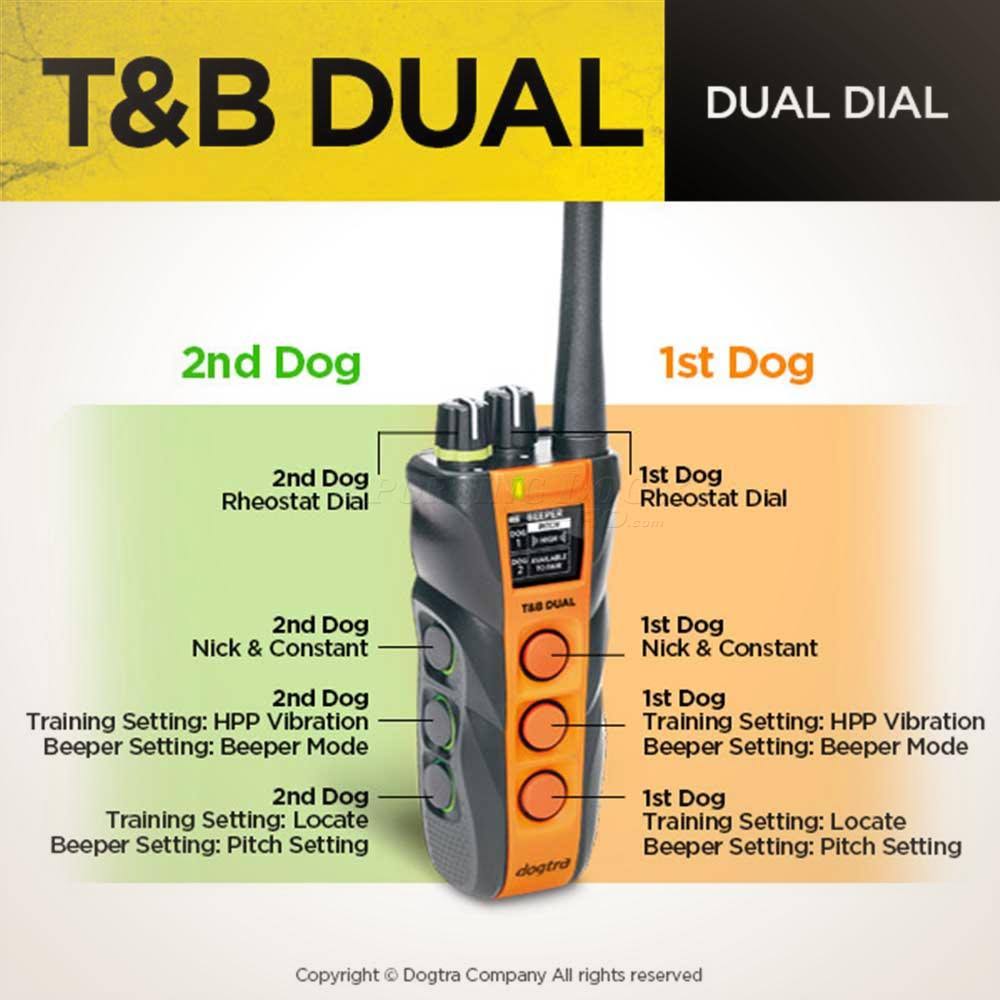 Dual Dog Training and Beeper Collar E31863
