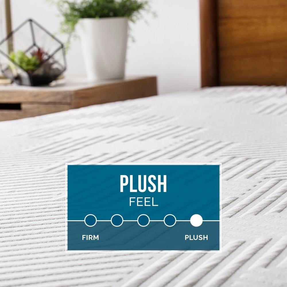 Queen Plush Gel Memory Foam Mattress S58311