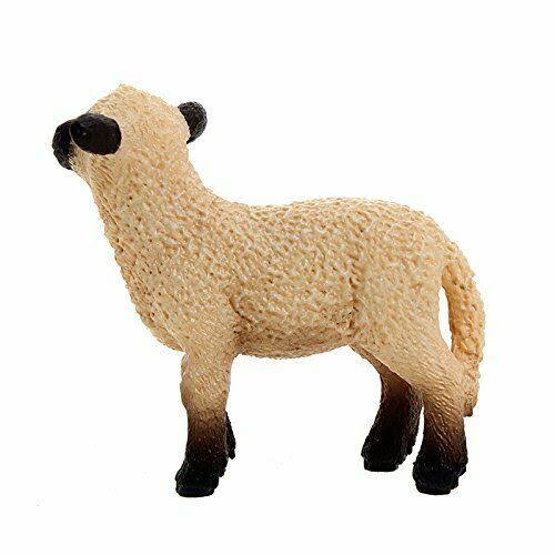 Shropshire Lamb H735
