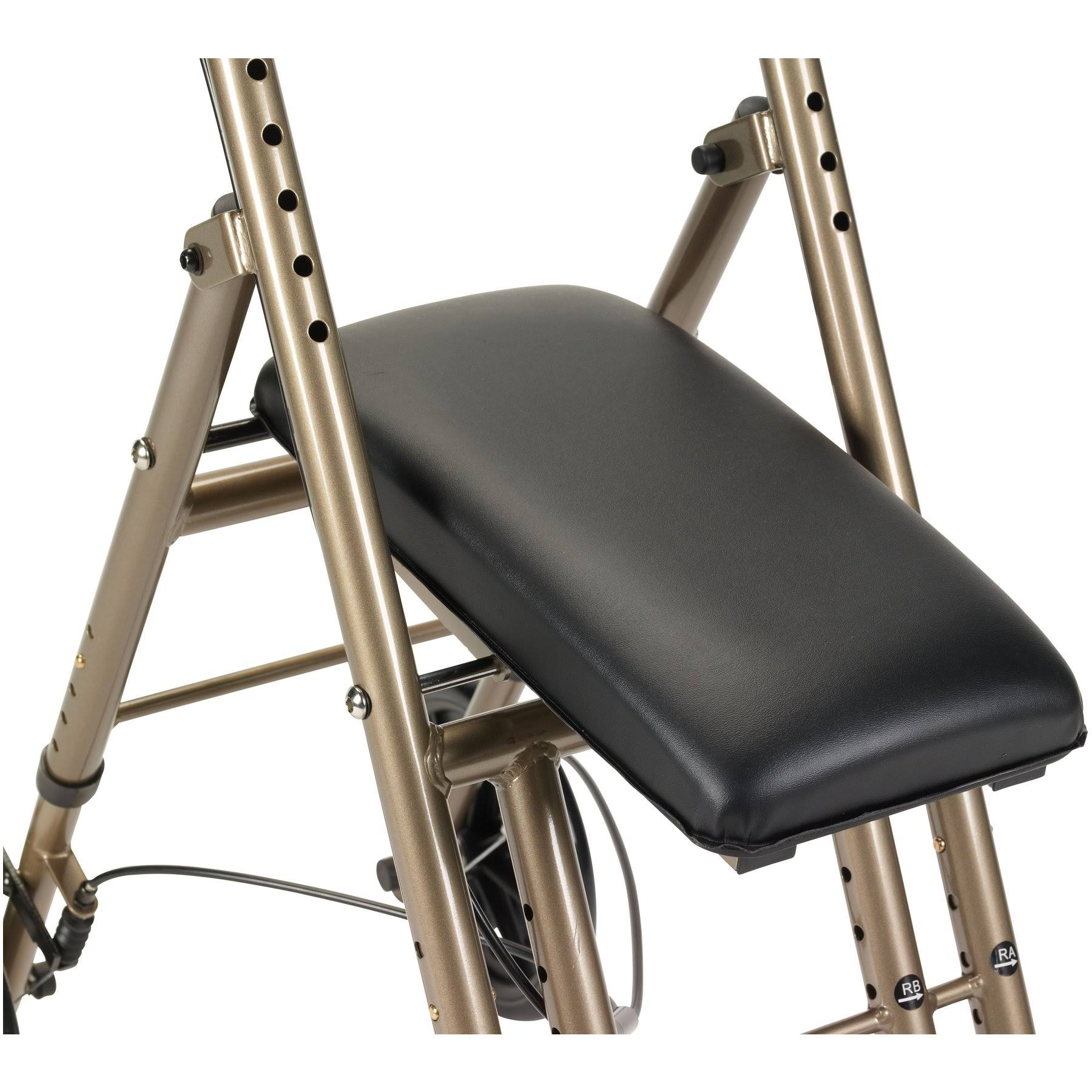 Adult Knee Walker C53646