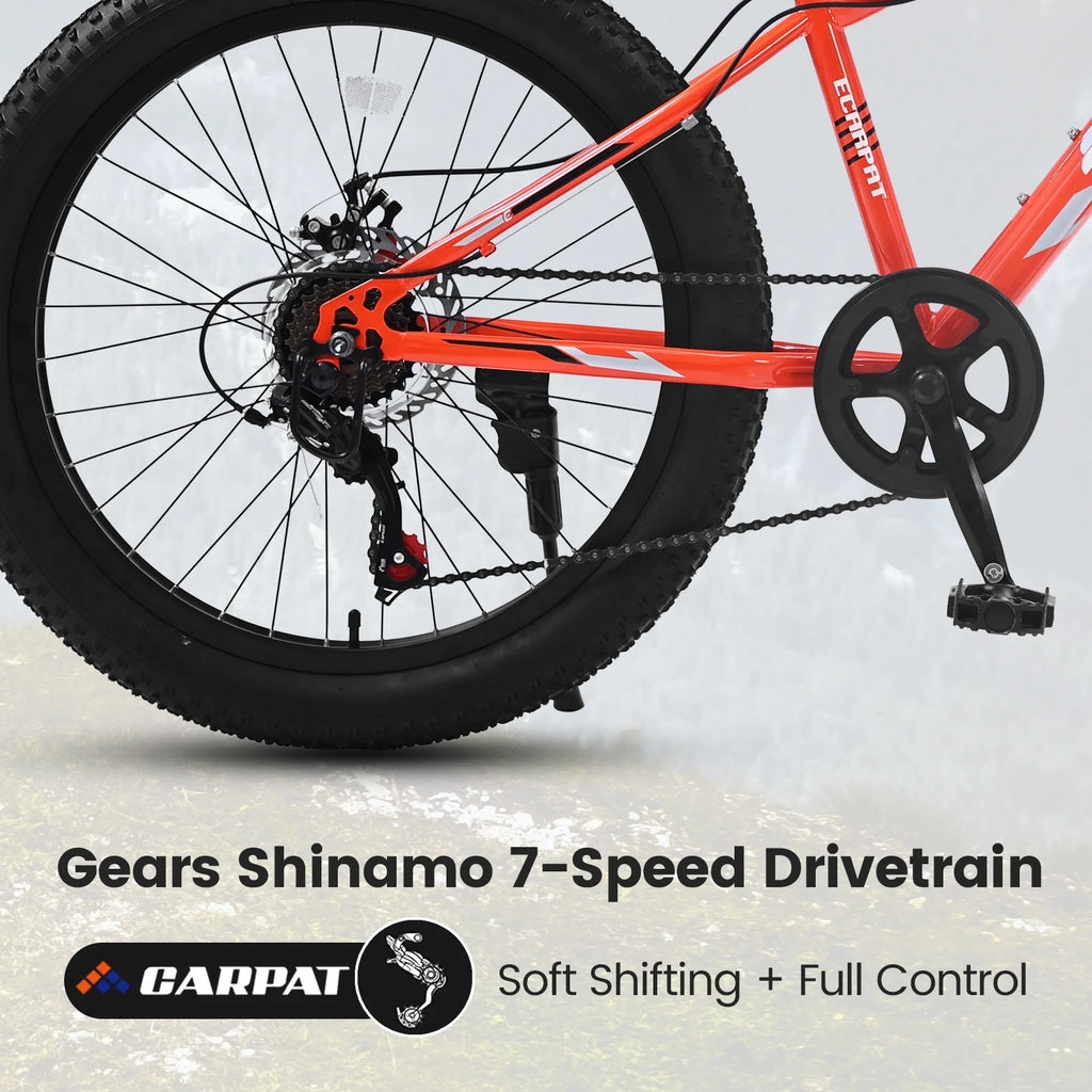 24" Mountain Bike with Shimano 7 Speeds Suspension Steel Frame G2479