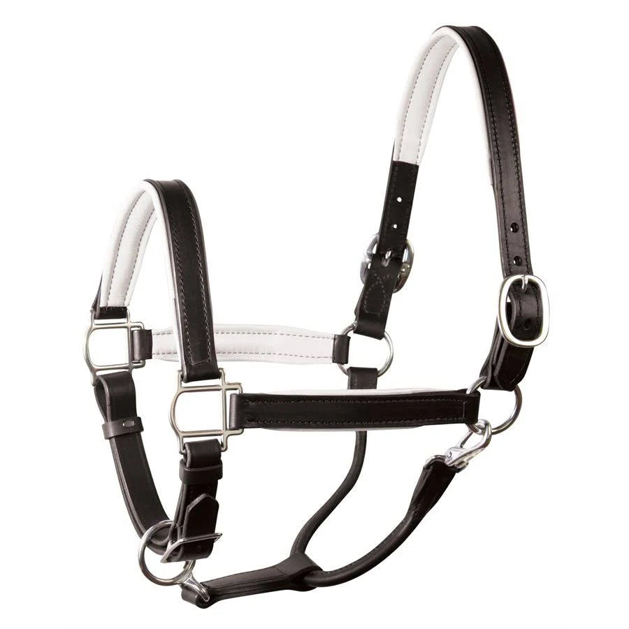 Soft Padded Leather Halter F774467