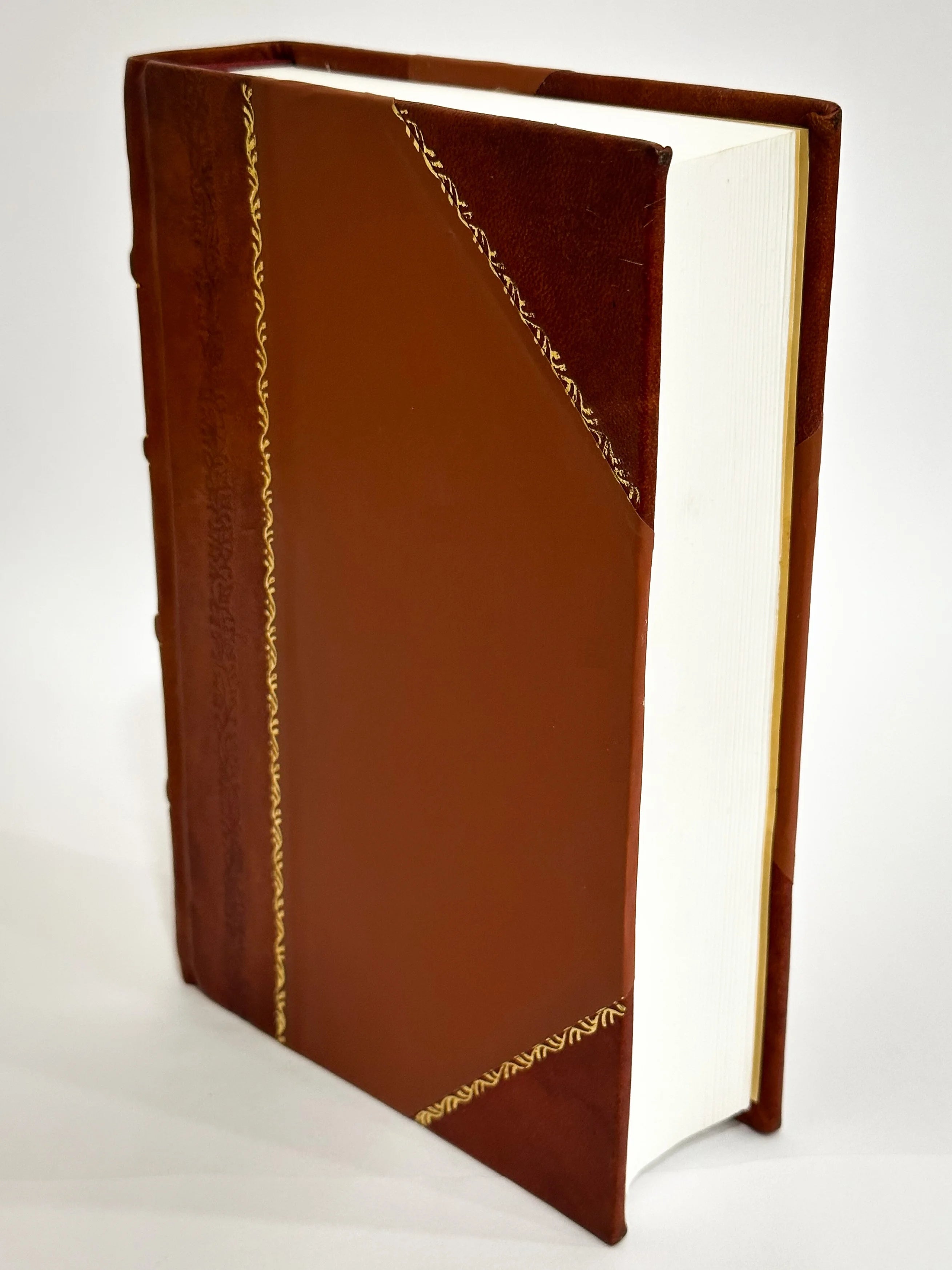 Intervention in International Law [Leather Bound] J306706