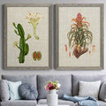 Gray Framed Canvas Print J91147