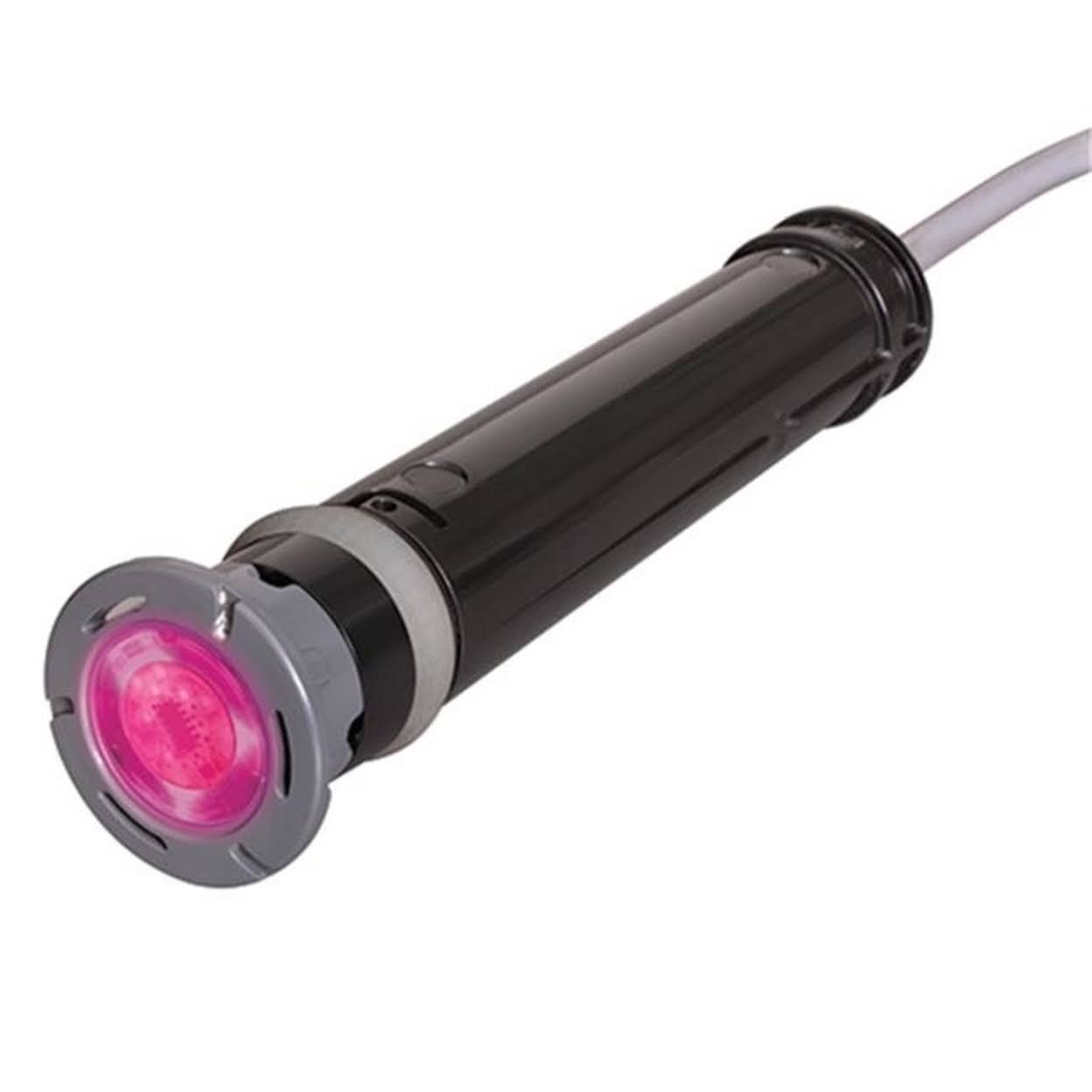 LED Light with 100 Foot Cord M4631