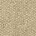 Ivory 18 x 18 Level Loop Carpet Tile I94126