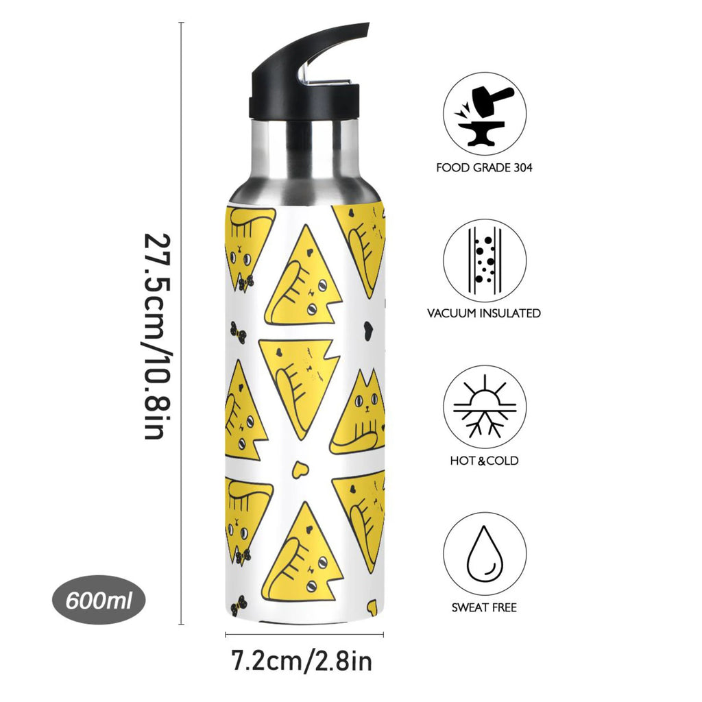 20 OZ Stainless Steel Vacuum Insulated Water Bottle with Straw Lid H786019