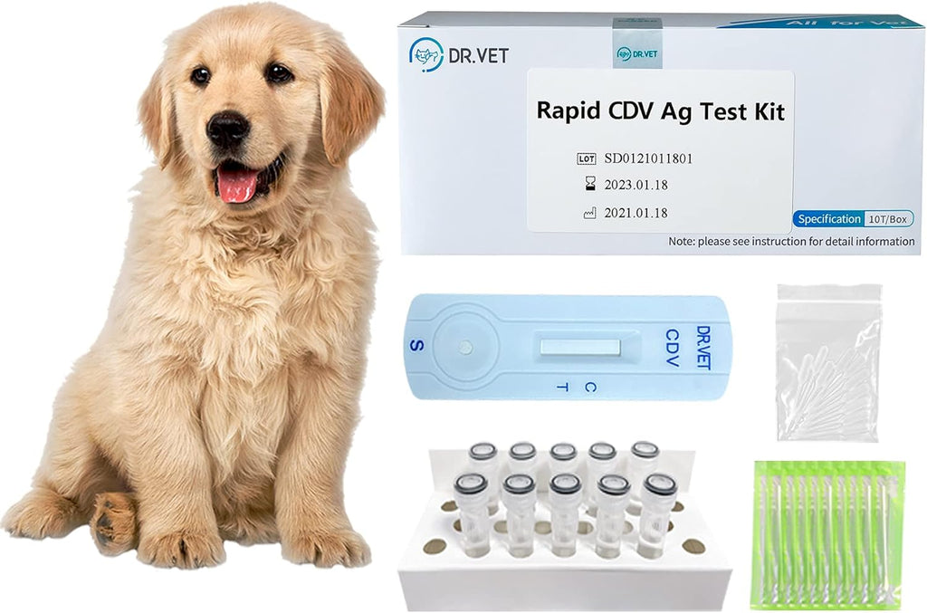 10-Packed Canine Distemper CDV Diagnostic Testing Kit O169887