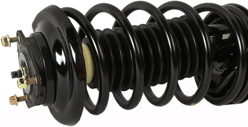 2 Front Strut Spring Assembly for Ford 2000-2005 Focus I233