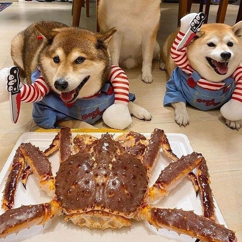 Dog Scary Transformation Costume with Wig C95149