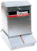 Hog Feeder O836