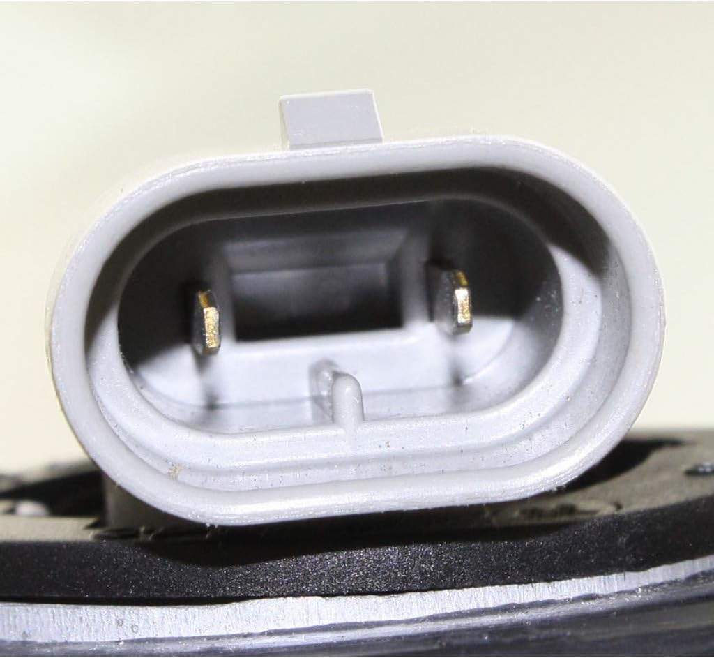 Fog Light Assembly Pair with Bulbs C765