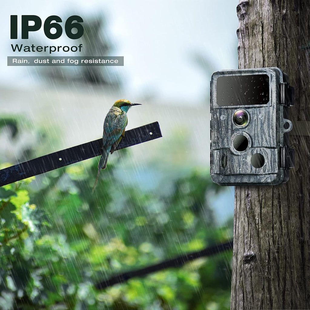 4K WiFi 30MP Game Camera with 940nm No-Glow IR LEDs Night Vision Waterproof IP66 Pack of 2 F19012