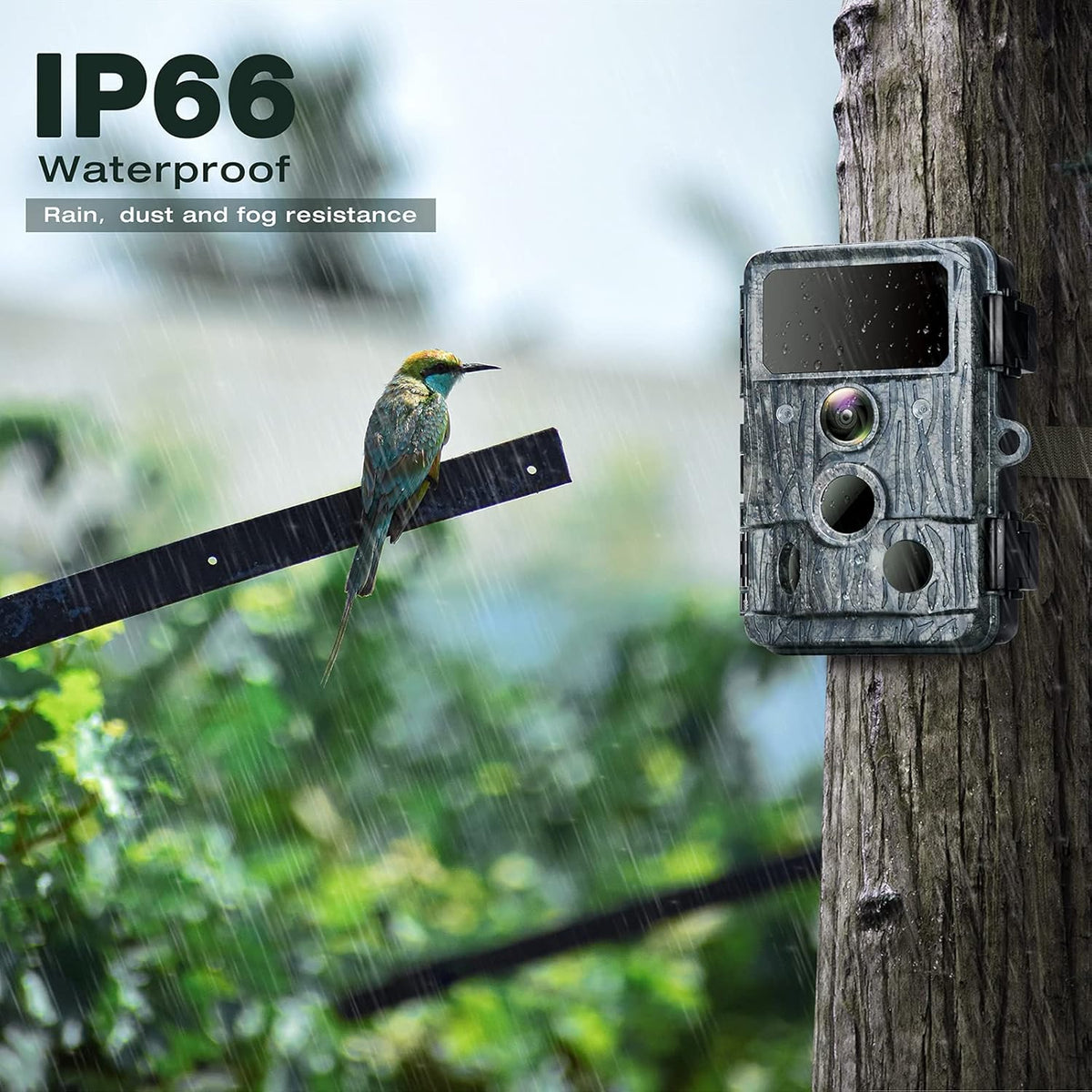 4K WiFi 30MP Game Camera with 940nm No-Glow IR LEDs Night Vision Waterproof IP66 Pack of 2 F19012