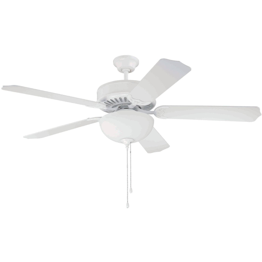 52x22 Ceiling Fan Light Kit Y21875