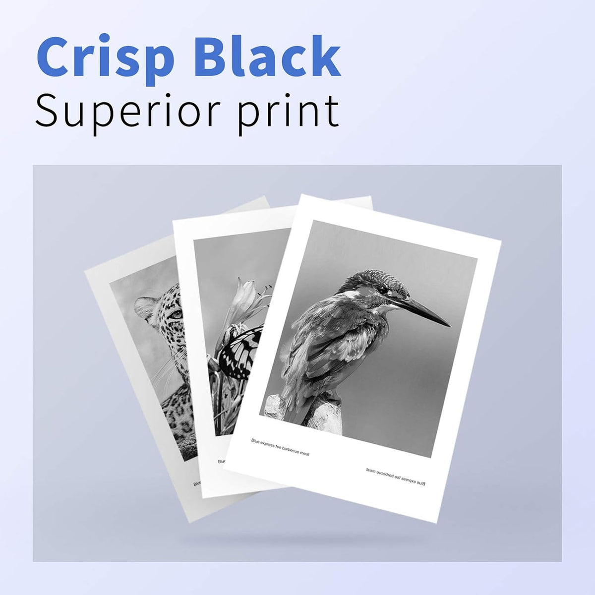 Remanufactured Ink Cartridge Combo Pack 4 Pack for HP 910 XL Printer E2381