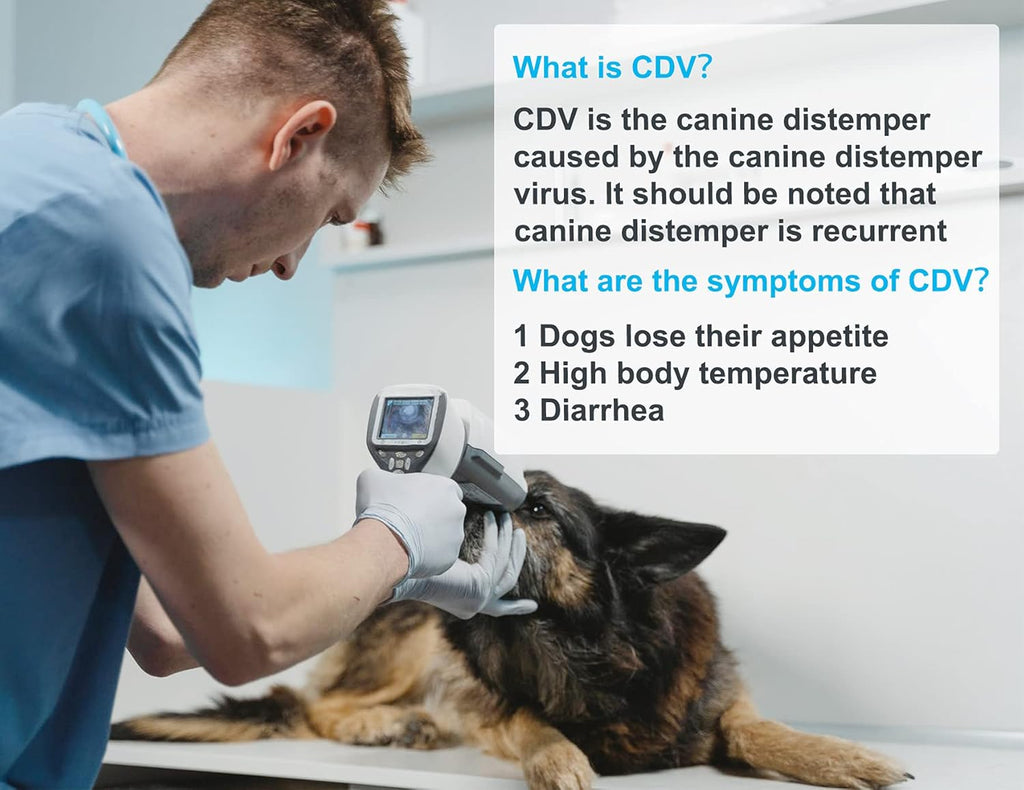 10-Packed Canine Distemper CDV Diagnostic Testing Kit O169887