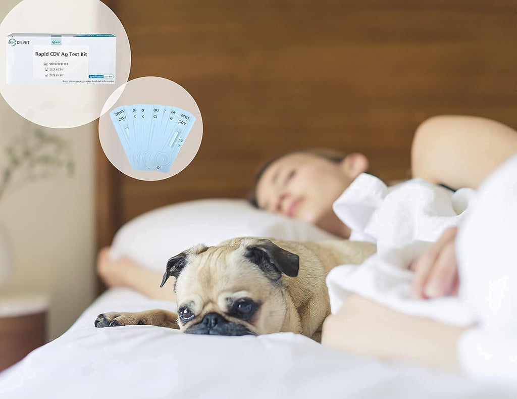 10-Packed Canine Distemper CDV Diagnostic Testing Kit O169887