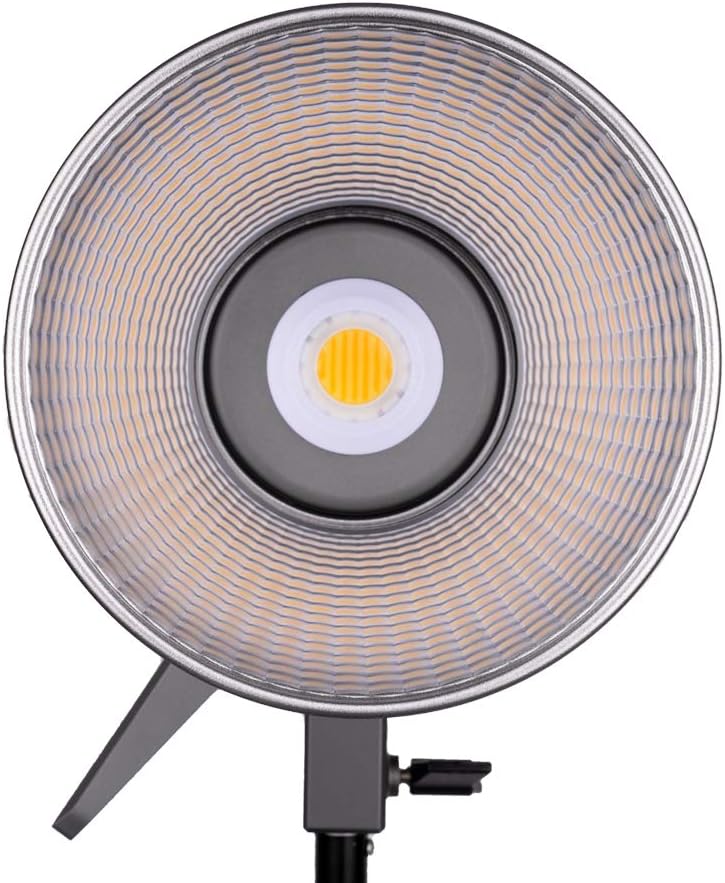 Bi-Color LED Video Light Y231
