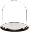 Black Wood Veneer Base Glass Display Dome Cloche H389175