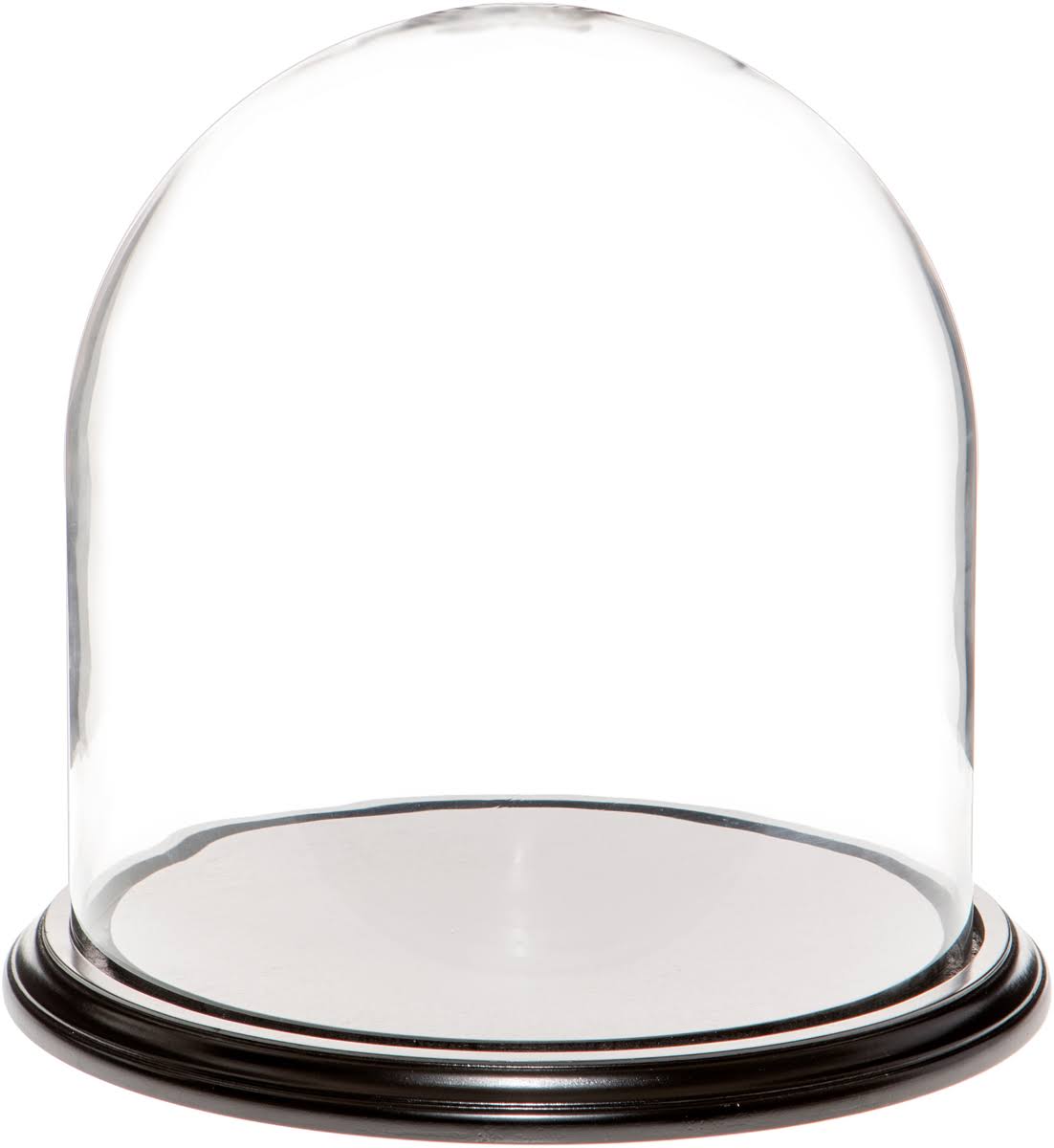 Black Wood Veneer Base Glass Display Dome Cloche H389175